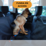 Cubre Asiento Auto Perros Impermeable Con Cinturón de Seguridad Protector - Imagen 3