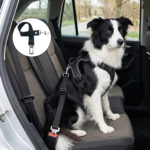 Cinturón de Seguridad Reforzado Reglamentario para Mascotas (perros y gatos) - Cumple con la Ley Nº 24.449 - Imagen 2