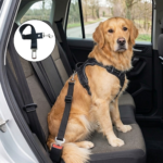 Cinturón de Seguridad Reforzado Reglamentario para Mascotas (perros y gatos) - Cumple con la Ley Nº 24.449