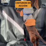 Cubre Asiento Auto Perros Impermeable Con Cinturón de Seguridad Protector - Imagen 8